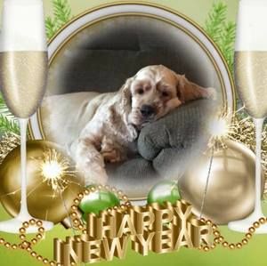 Meet your Posher, Norma